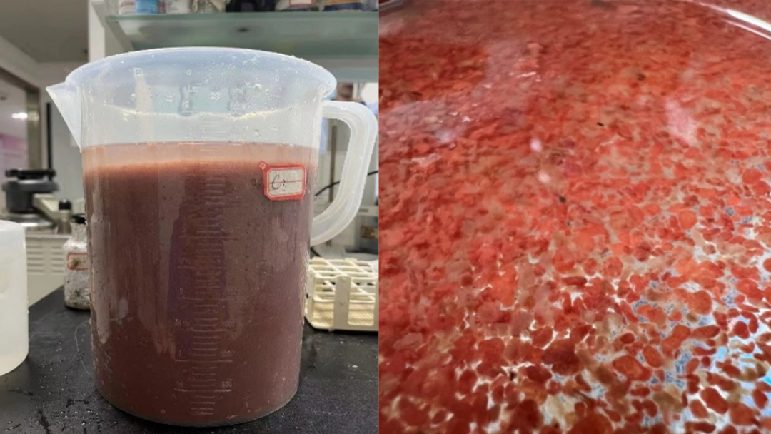 J9游戏(中国)-官方网站