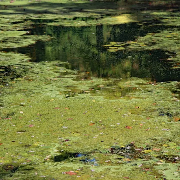 J9游戏(中国)-官方网站