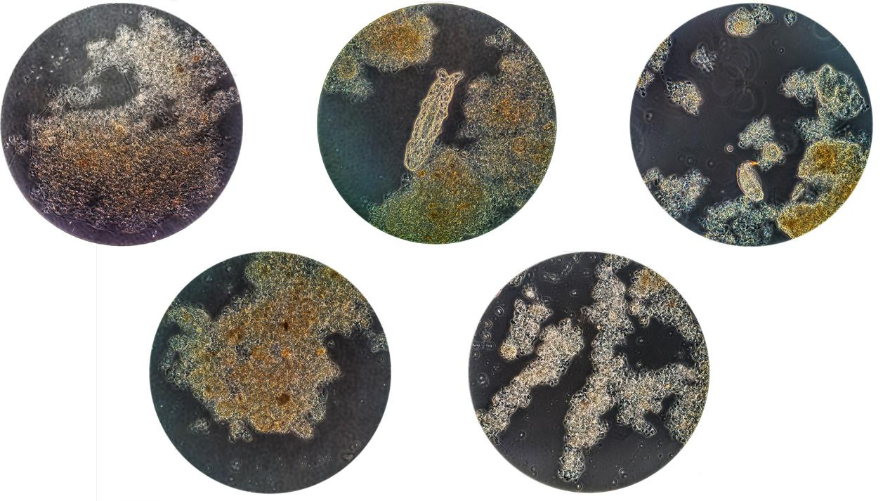 J9游戏(中国)-官方网站