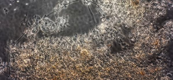 J9游戏(中国)-官方网站