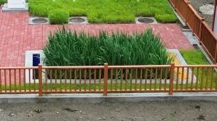 J9游戏(中国)-官方网站